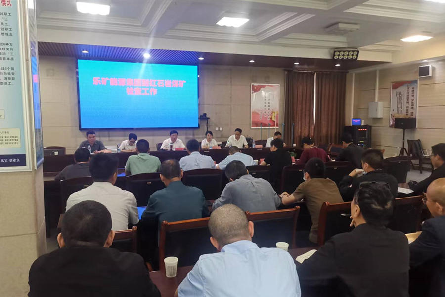 蔡正华到陕西红石岩煤矿项目部检查指导工作