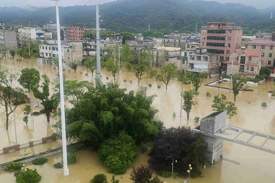 又见“红马甲”