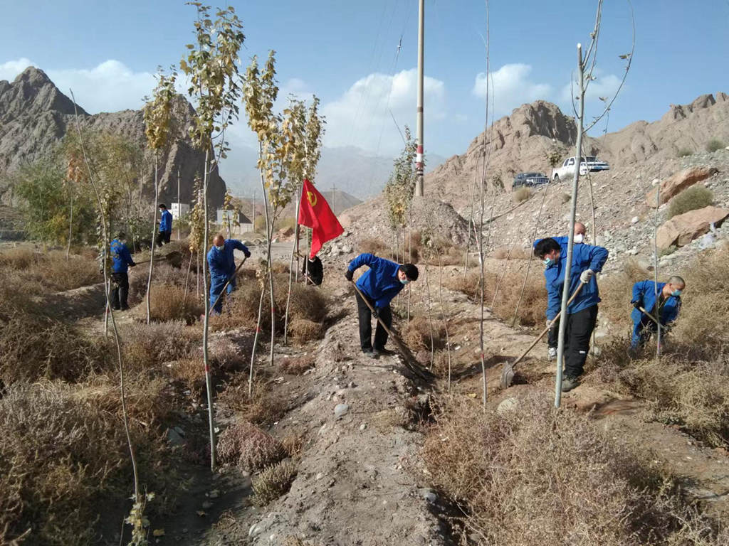 学习二十大 建功新时代 | 新疆拜城分公司植树造林，为戈壁增添绿色