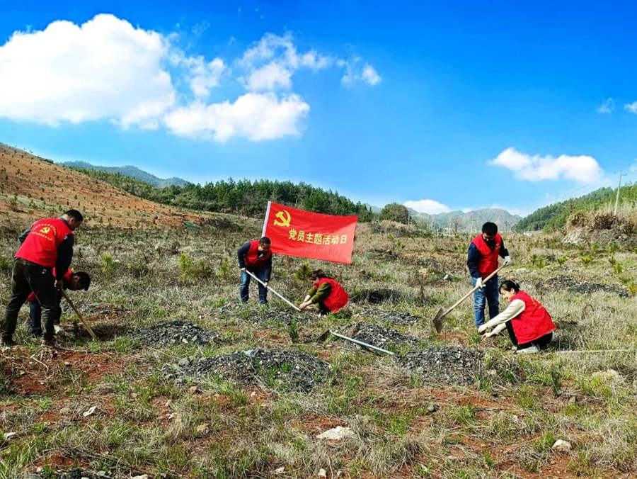 植树护绿，党旗增辉｜乐矿电力开展植树护绿主题党日活动