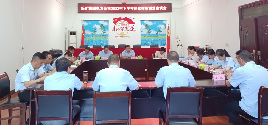 蔡正华深入乐矿电力公司调研指导 算好企业经济发展账