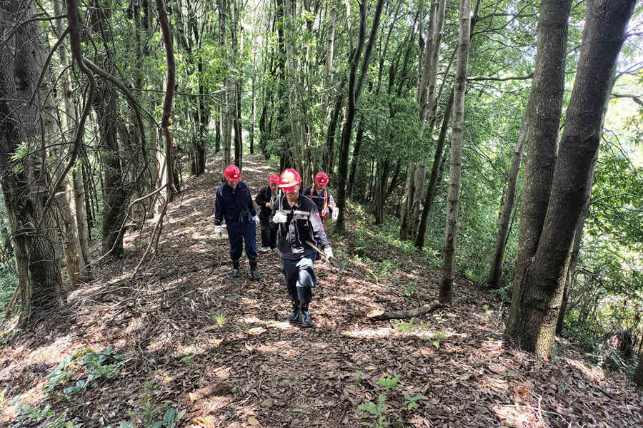 乐矿电力公司开展线路巡查守护供电安全