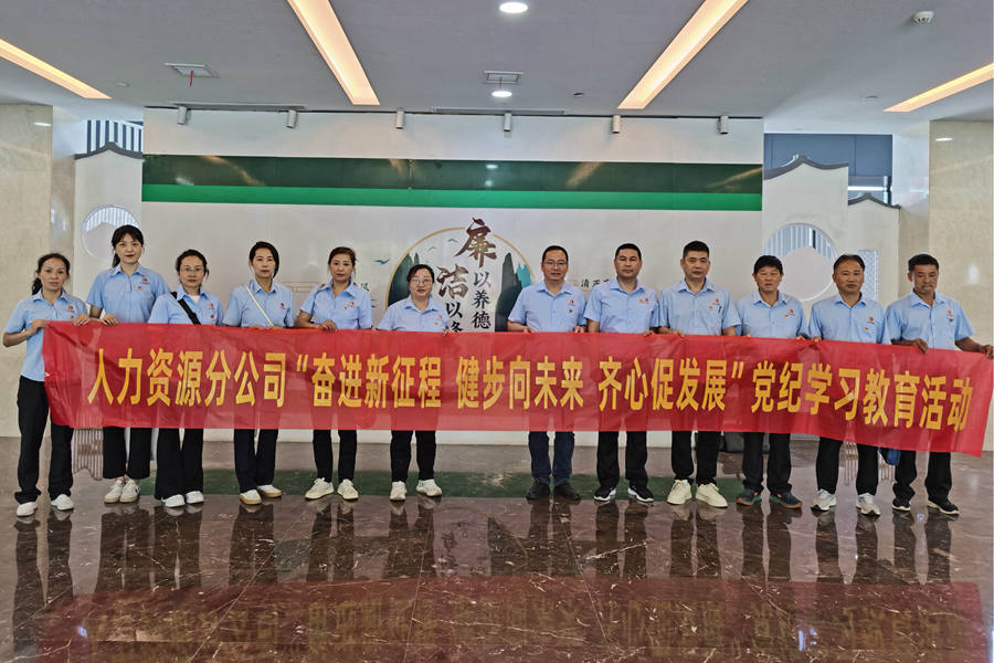 人力资源分公司开展廉政教育主题党日