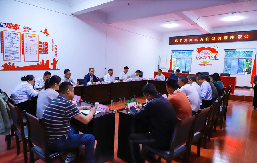 乐矿能源集团党政深入乐矿电力调研指导工作