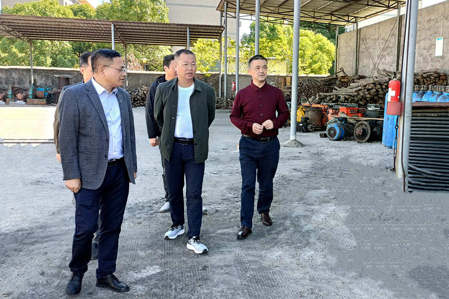 蔡宝家到新鸣煤业督导鸣西矿井关闭退出工作