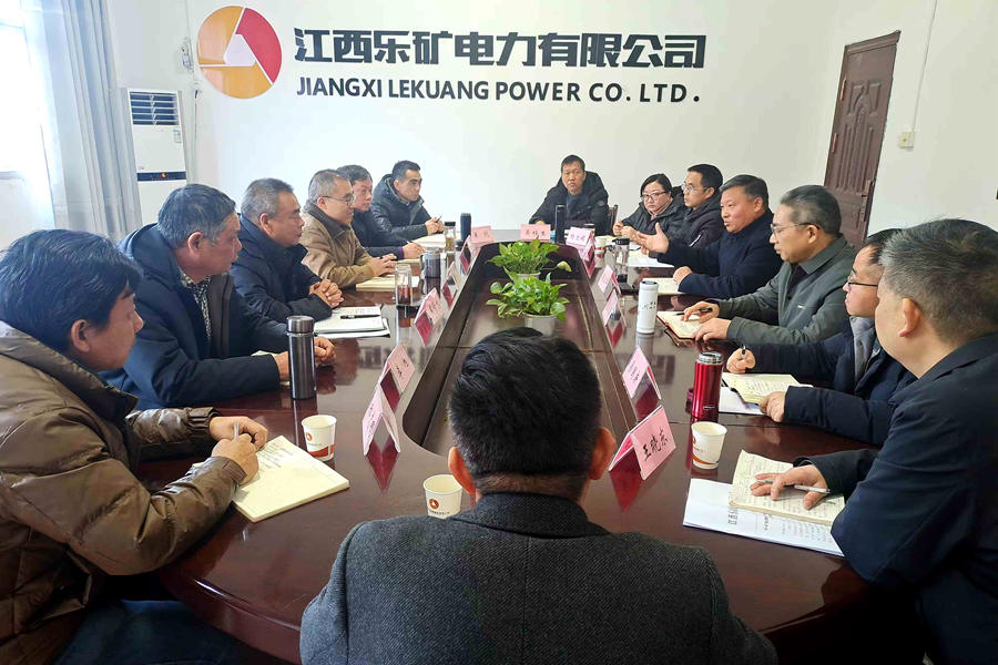 蔡正华深入乐矿电力调研节后复工复产