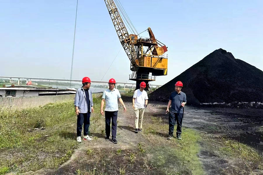 蔡宝家 深入凰岗码头调研指导工作